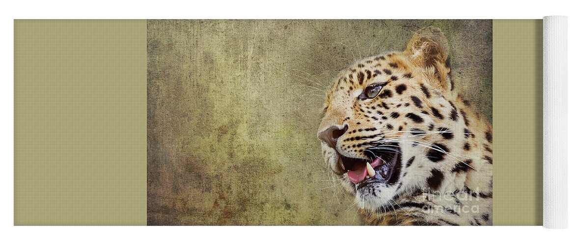 Leopard Yoga Mat featuring the photograph Young adult Amur Leopard. A species of leopard indigenous to sou by Jane Rix