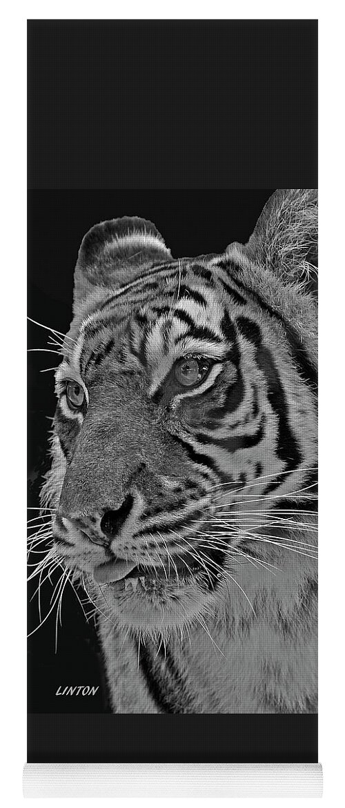 Tiger Yoga Mat featuring the photograph Young Tiger by Larry Linton