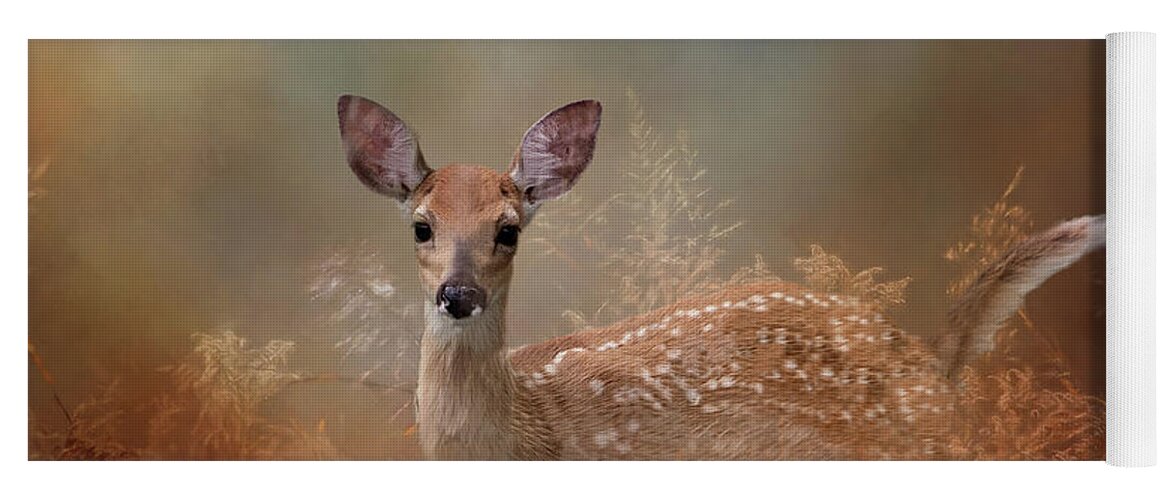 Animal Yoga Mat featuring the photograph Young Whitetail Deer by Ed Taylor