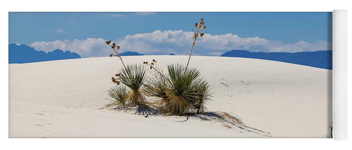 Alamogordo Yoga Mat featuring the photograph Yuccas in White Sands by Dawn Richards