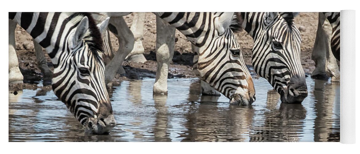 Plains Zebra Yoga Mat featuring the photograph Zebras at Chudob Waterhole by Belinda Greb