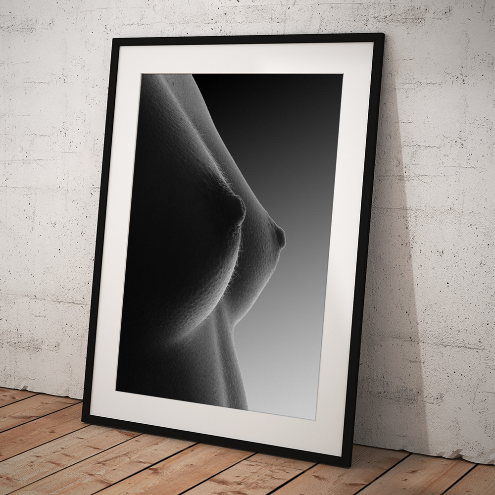 3485 Beautiful Small Breasts Black White Artwork Poster by Chris Maher