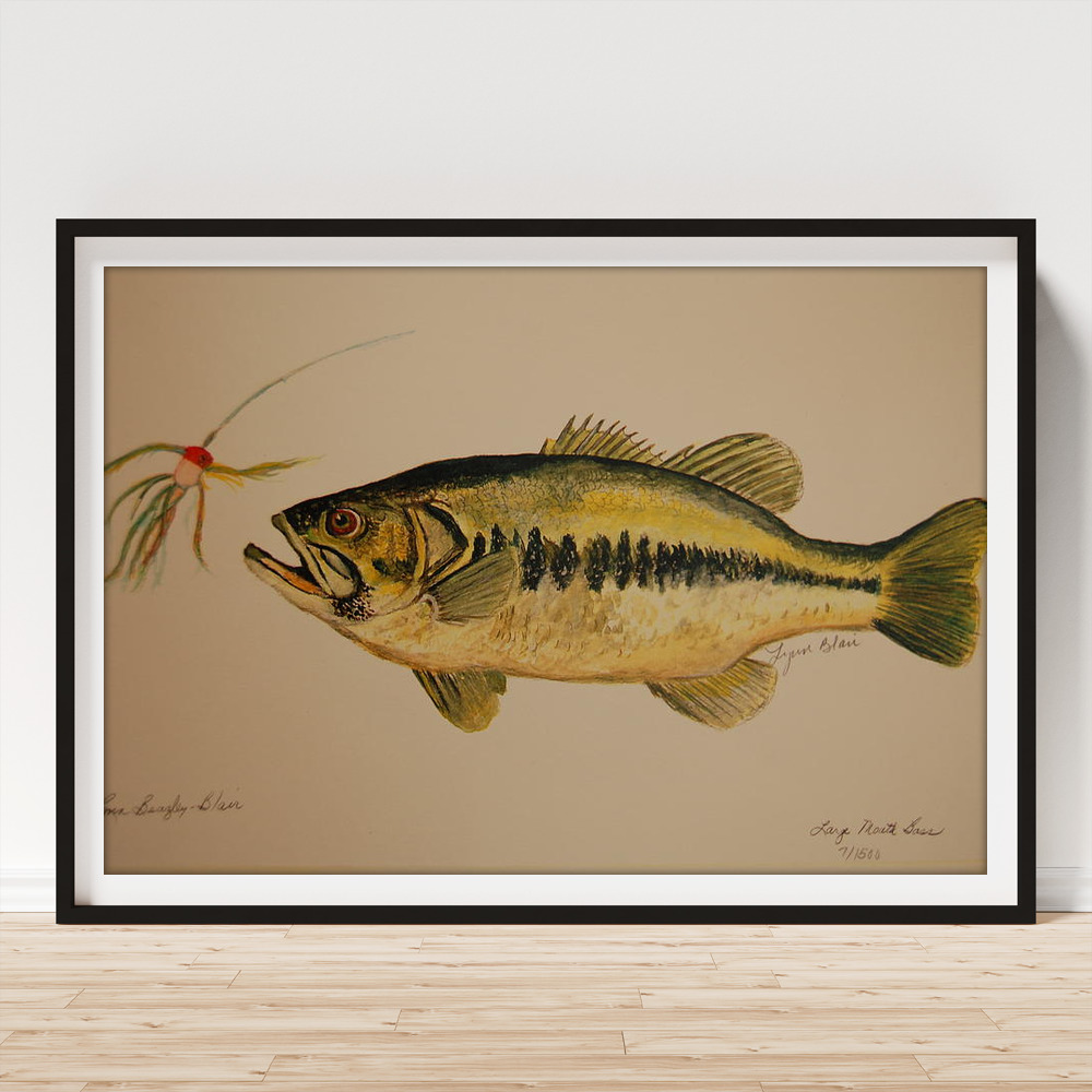 Large Mouth Bass Fish Art Print by Lynn Beazley Blair - Fine Art America