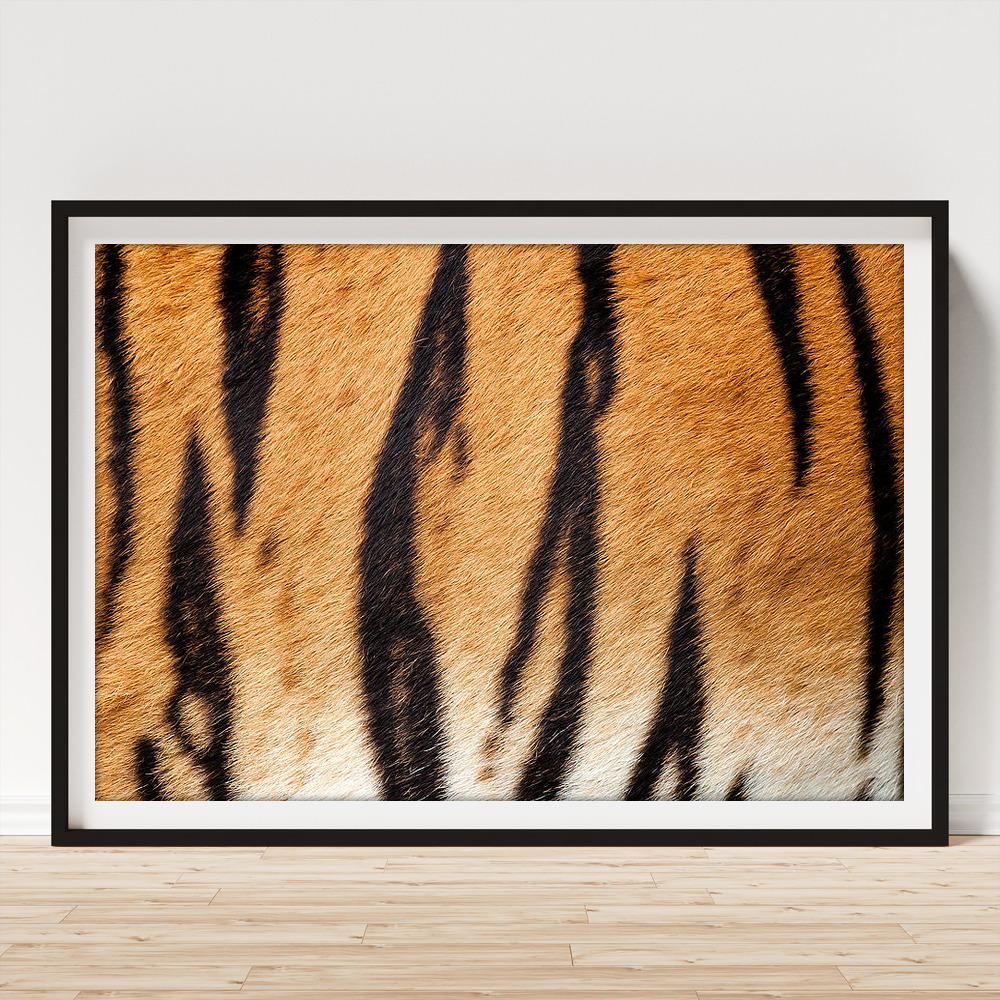 Real Tiger Fur Pattern Poster by Sarah Cheriton-Jones - Pixels