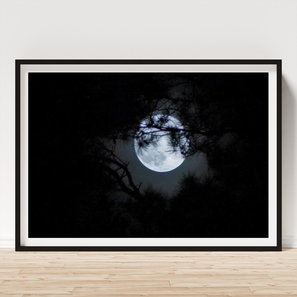 Bayou Moon Poster by John Glass - Pixels