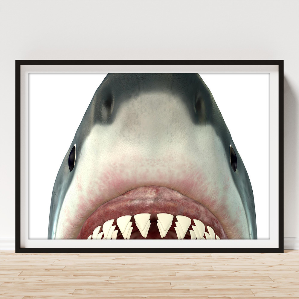 https://render.fineartamerica.com/images/rendered/default/framed-print-leaning/images/artworkimages/medium/1/great-white-shark-jaws-corey-ford.jpg?style=horizontal