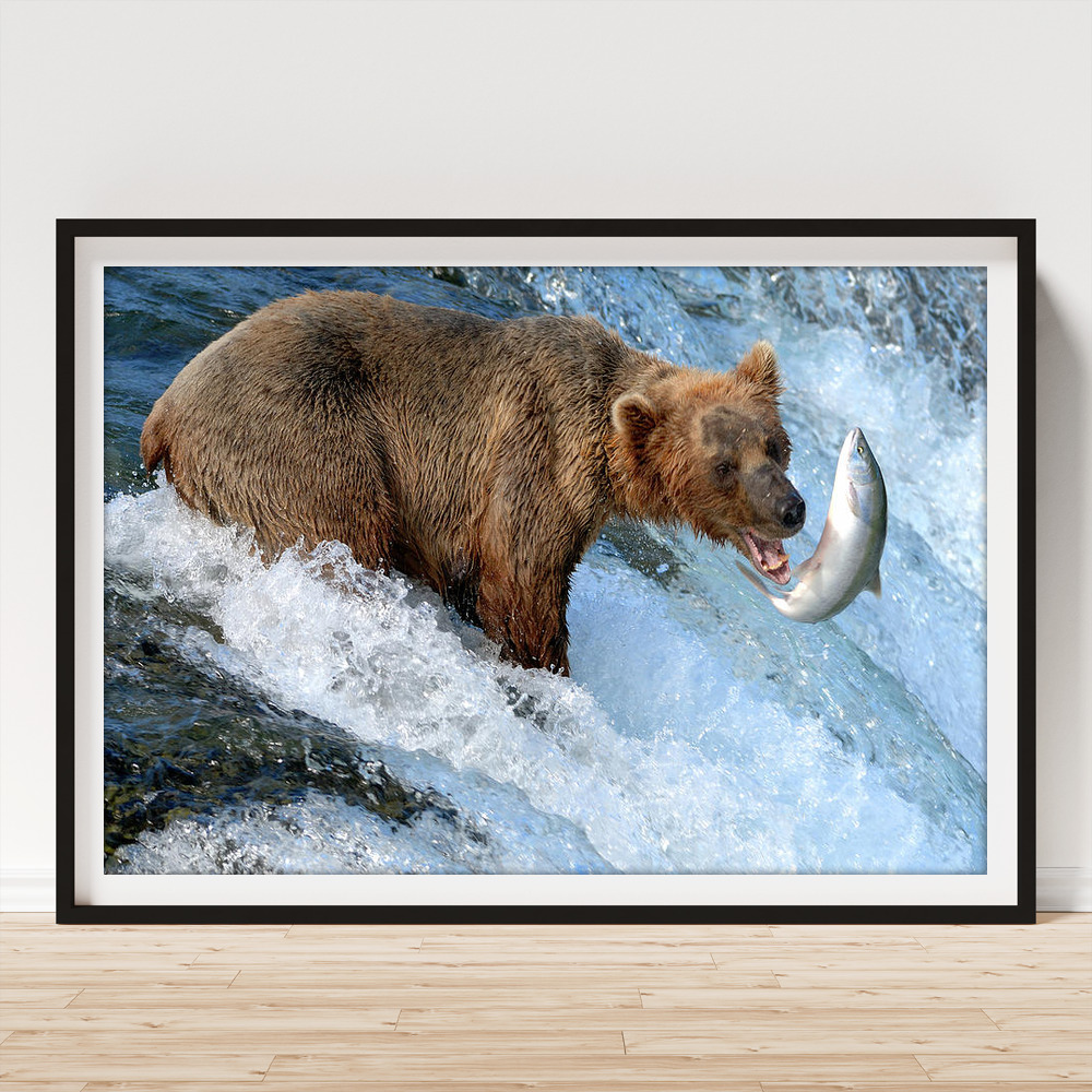 Brown Bear Fishing Wildlife Motivational Poster Art Print Classroom Decor  Focus