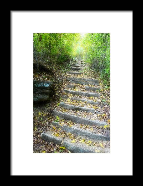 Landscape Framed Print featuring the photograph  A Walk To A Mysterious Place by Peggy Franz