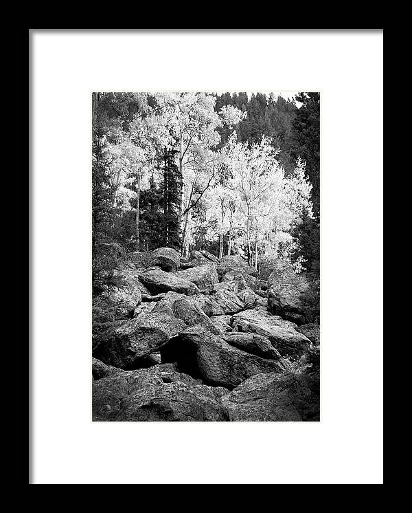 Red River Framed Print featuring the photograph Aspens In Field Of Rocks by Ron Weathers