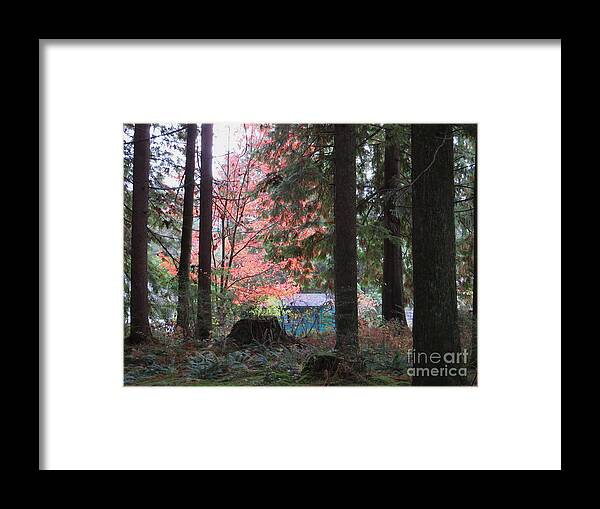 Autumn Framed Print featuring the photograph Beauty through the trees by Joyce Gebauer