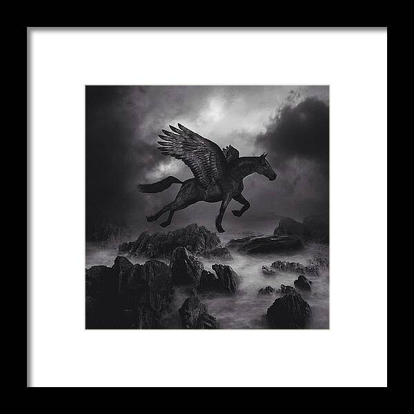  Framed Print featuring the photograph // Dark Horse // by Usman Ali