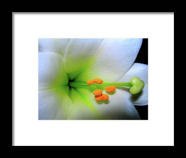 Lilies Framed Print featuring the photograph  Easter A New Beginning by Randy Rosenberger