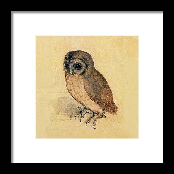 Owl Framed Print featuring the painting Little Owl by Albrecht Durer