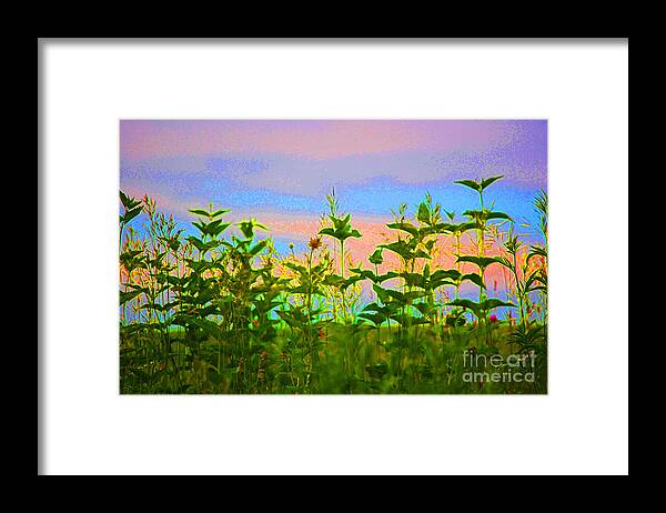 First Star Art Framed Print featuring the photograph Meadow Magic by First Star Art