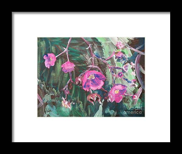 Wildflower Framed Print featuring the painting Ptg Adirondack Wildflower by Judy Via-Wolff