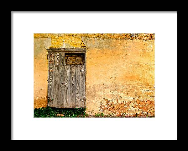 Door Framed Print featuring the photograph The Back Door by David and Carol Kelly