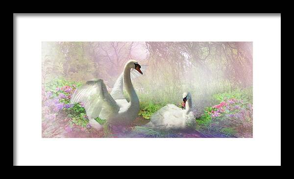 Swan Framed Print featuring the digital art The Lightness of Being by Trudi Simmonds