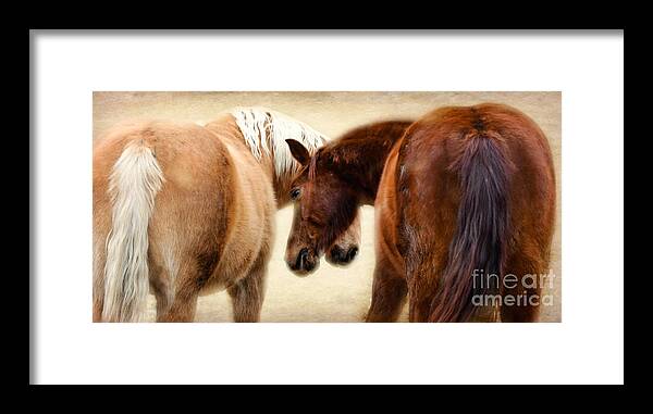 Landscape Framed Print featuring the photograph The Love Dance by Peggy Franz