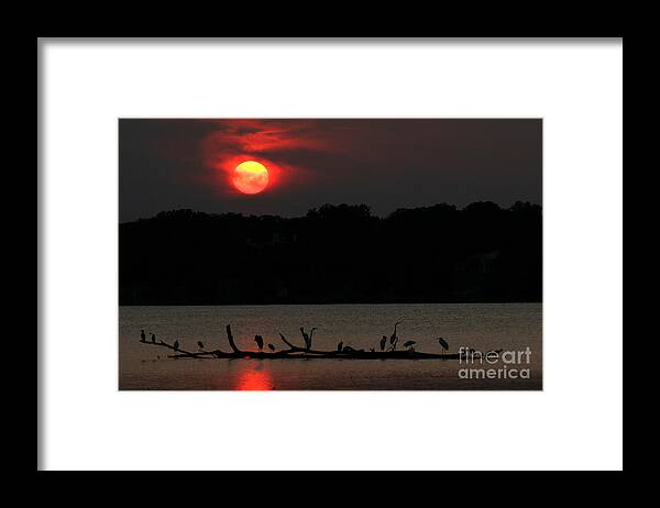 Lanndscape Framed Print featuring the photograph 0016 White Rock Lake Dallas Texas by Francisco Pulido