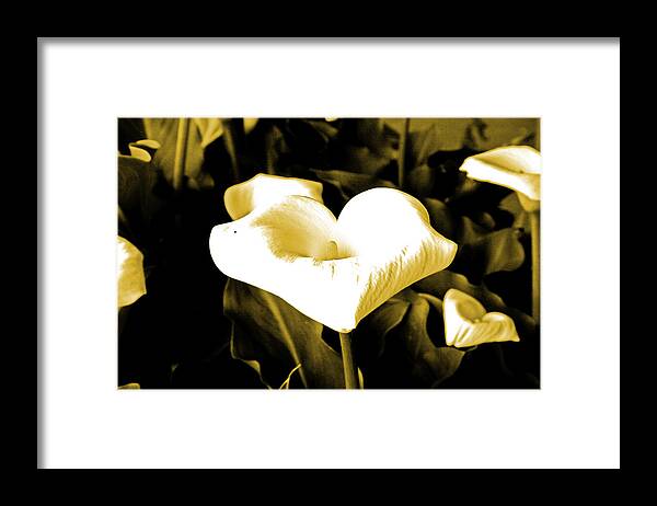 Flowers Framed Print featuring the digital art A Flower in the Shadows #2 by Joseph Coulombe