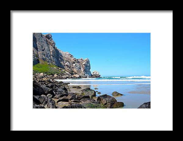 Barbara Snyder Framed Print featuring the photograph A Piece Of The Rock At Morro Bay 3 #1 by Barbara Snyder