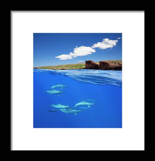 Delphinidae Framed Print featuring the photograph A Split View Of Spinner Dolphin #1 by Dave Fleetham