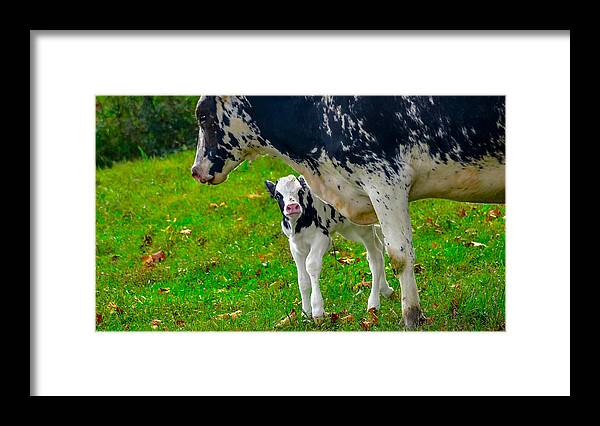 Agricultural Framed Print featuring the photograph A world to explore #1 by Brian Stevens