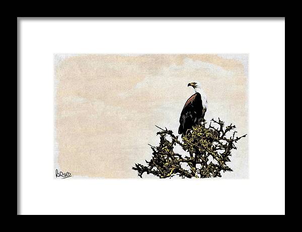 African-fish Eagle Framed Print featuring the photograph African Fish Eagle #1 by Perla Copernik