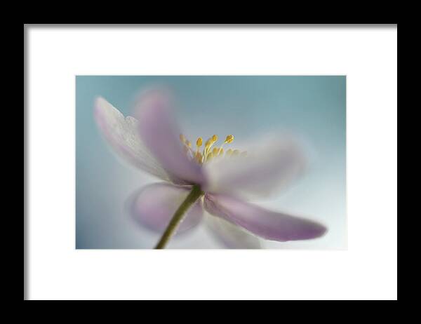 Soft Framed Print featuring the photograph Against The Sky #1 by Heidi Westum