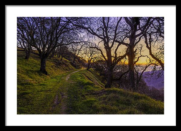 Alamo Framed Print featuring the photograph Alamo Hills by Don Hoekwater Photography