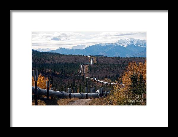 Nature Framed Print featuring the photograph Alaska Oil Pipeline by Mark Newman