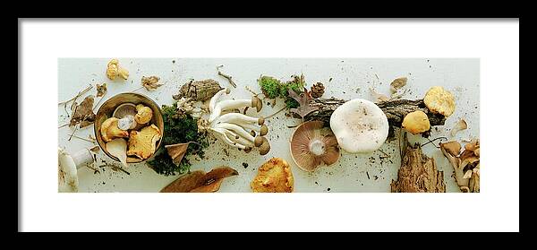 Fruits Framed Print featuring the photograph An Assortment Of Mushrooms by Romulo Yanes