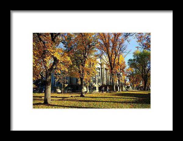 Granite Creek Framed Print featuring the photograph Autumn at the Courthouse #1 by Aaron Burrows