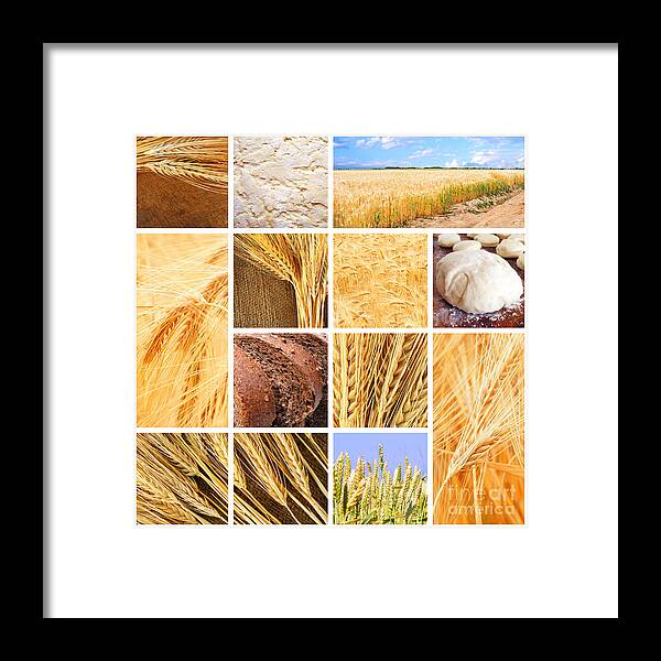 Autumn Framed Print featuring the photograph Autumn Harvest Collage #1 by Boon Mee