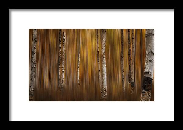 Landscape Framed Print featuring the photograph Autumn Haze #1 by Darlene Bushue