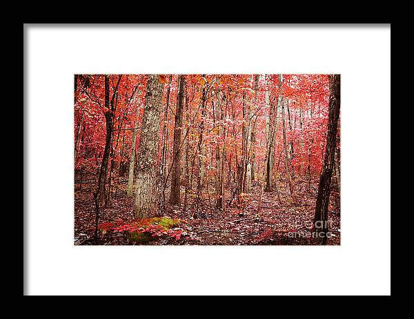 Autumn Framed Print featuring the photograph Autumn Landscape #1 by Kim Fearheiley