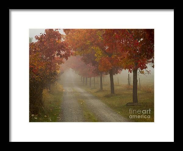Coeur D Alene Framed Print featuring the photograph Autumn Road #1 by Idaho Scenic Images Linda Lantzy