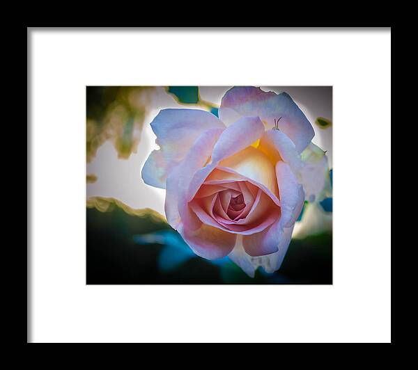 Rose Framed Print featuring the photograph Autumn Rose by GeeLeesa Productions