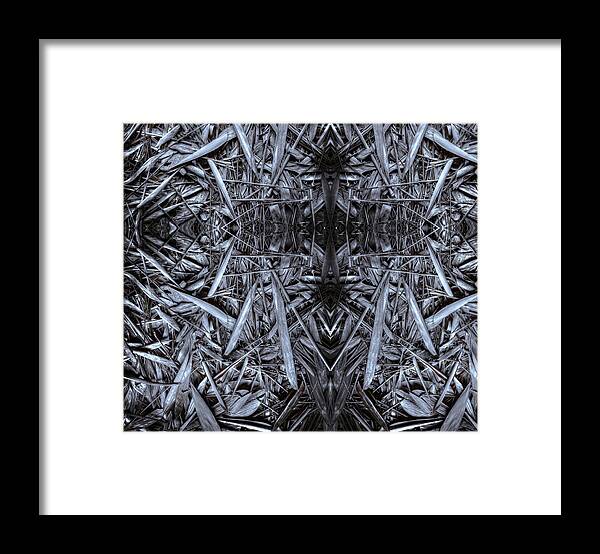 Abstract Framed Print featuring the photograph Bamboozled #1 by Wayne Sherriff