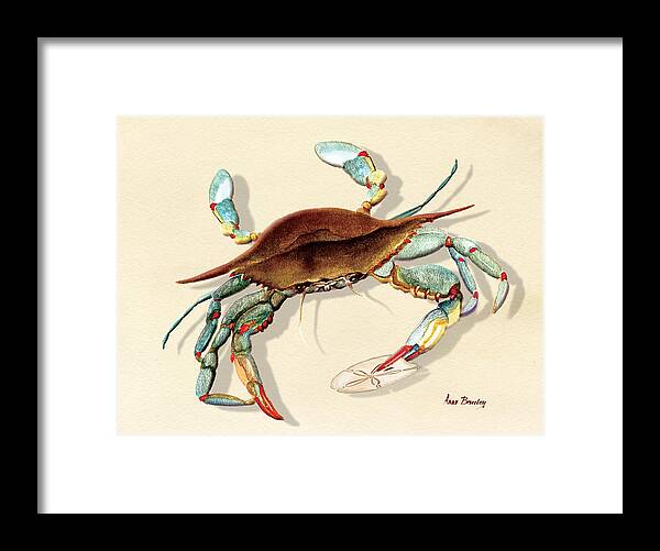 Blue Crab Framed Print featuring the painting Blue Crab #1 by Anne Beverley-Stamps