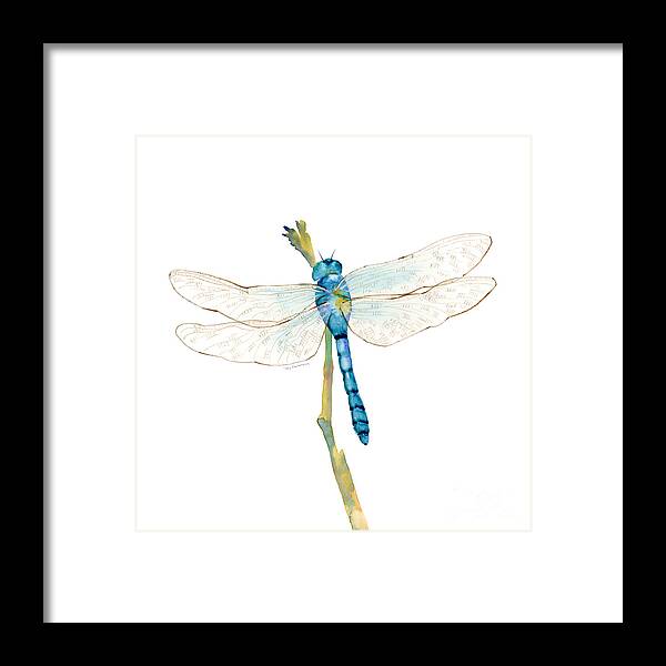 Blue Framed Print featuring the painting Blue Dragonfly by Amy Kirkpatrick