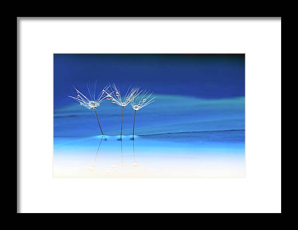 Water Framed Print featuring the photograph Blue Landscape #1 by Heidi Westum