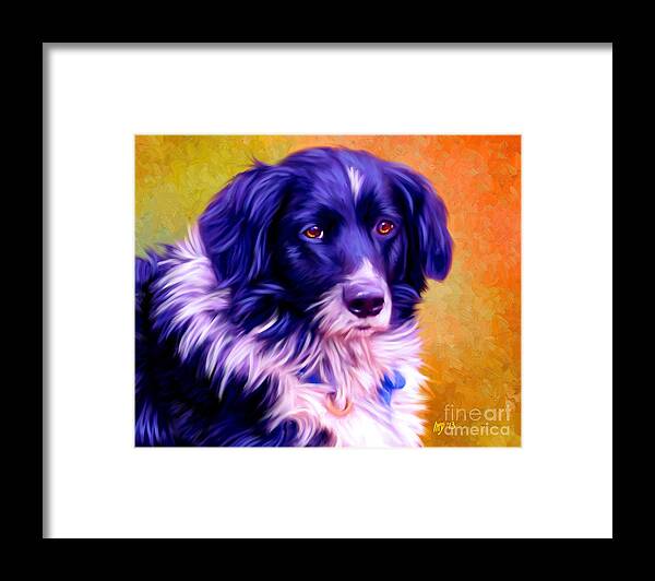 Dog Paintings Framed Print featuring the painting Border Collie #2 by Iain McDonald