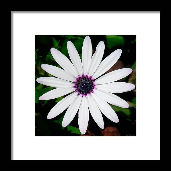 Digital Art Framed Print featuring the photograph Bright eye #1 by Jean Wolfrum