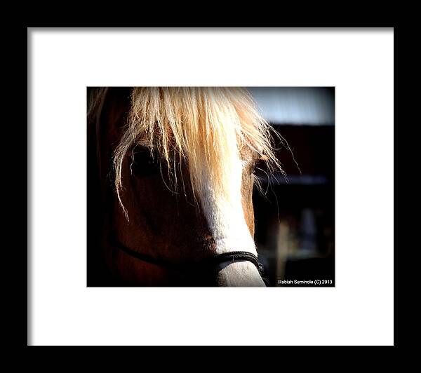 Horse Framed Print featuring the photograph Buddy #1 by Rabiah Seminole