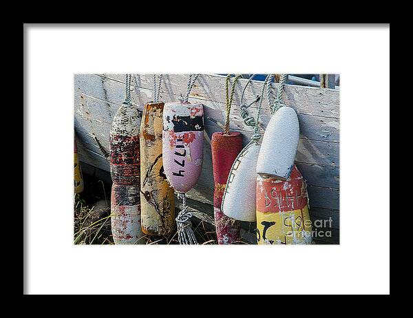 Buoys Framed Print featuring the photograph Buoys hanging on boat #1 by Dan Friend