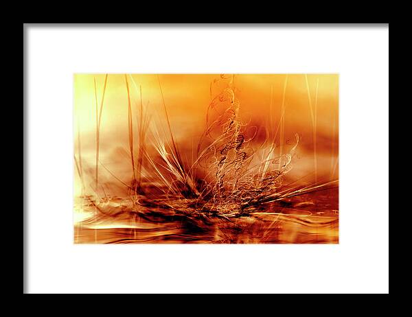 Macro Framed Print featuring the photograph Burning Water #1 by Willy Marthinussen