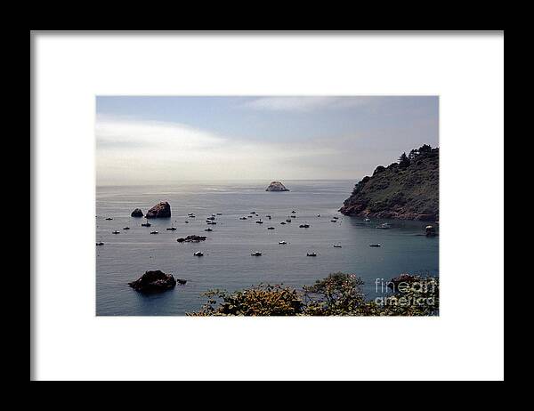 Trinidad California Framed Print featuring the photograph Busy Harbor #1 by Sharon Elliott