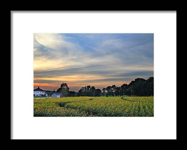 Farm Framed Print featuring the photograph Buttonwood Farm #1 by Andrea Galiffi