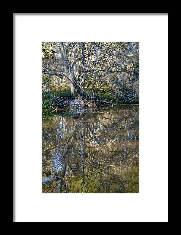 Caddo Framed Print featuring the photograph Caddo Lake 11 #1 by Ricardo J Ruiz de Porras